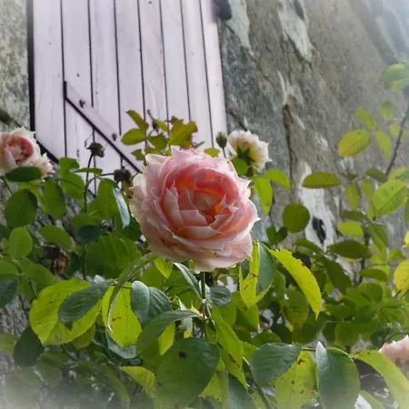 Les Temps Des Sources Homestay *