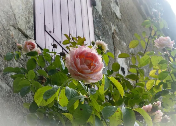 Les Temps Des Sources Accommodatie bij particulieren *